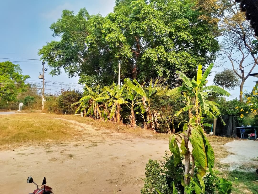 Thailand Photo (22) Thailand Photo (22) - Digital product available for instant download from itsamikkie