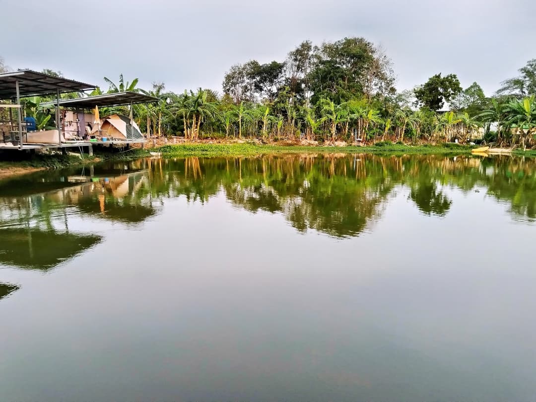 Thailand Photo (60) Thailand Photo (60) - Digital product by itsamikkie