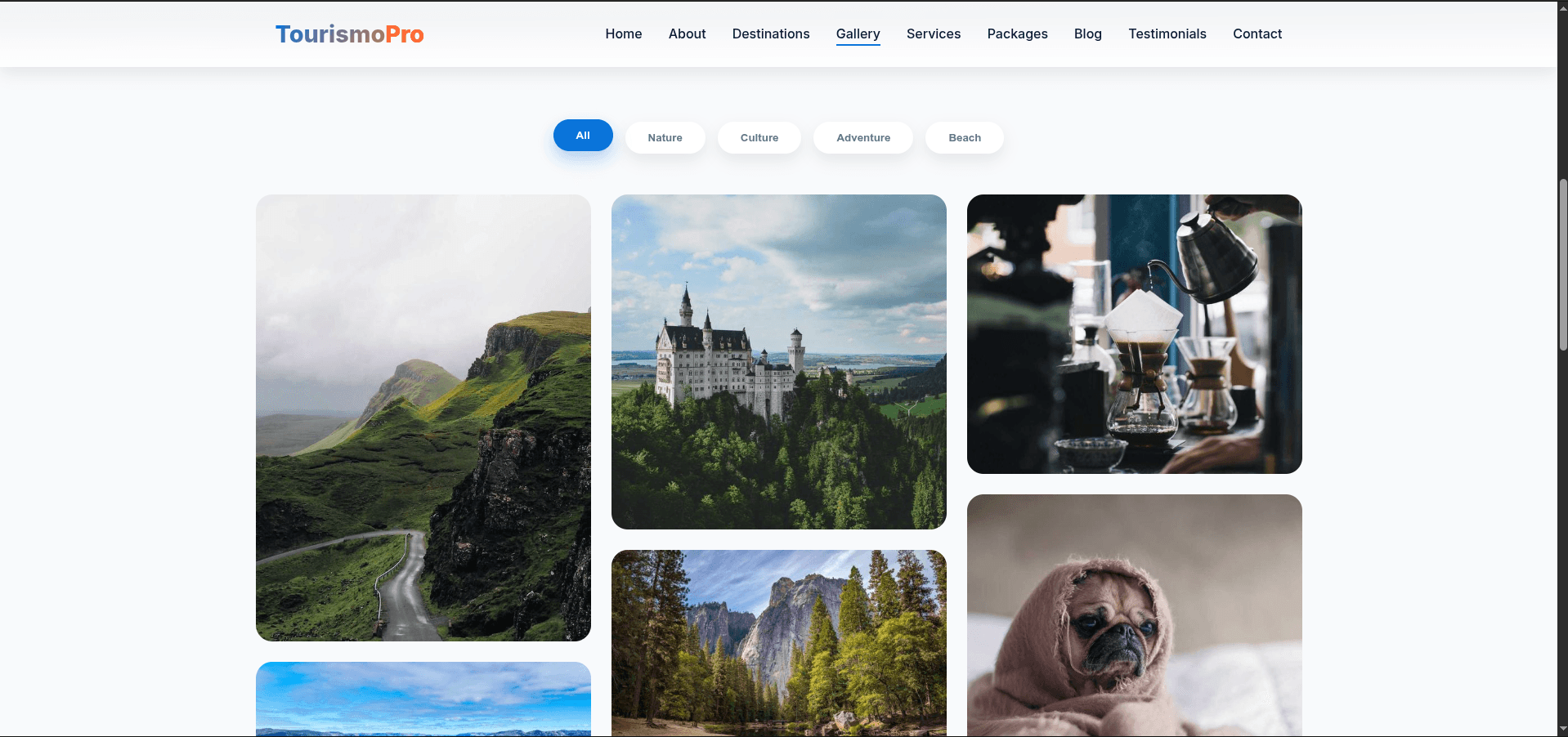 TourismPro TourismPro - Digital product by shezansaghir3's Store